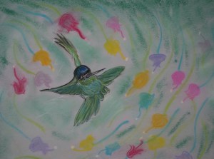 Humming Bird 08