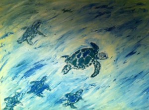 Sea Turtles